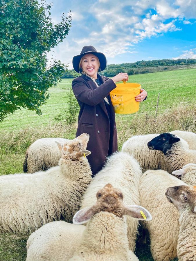 Farma Ovci Terasy Villa Němčičky Eksteriør billede